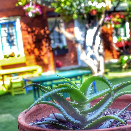 Pirlanta Butik Otel Çeşme