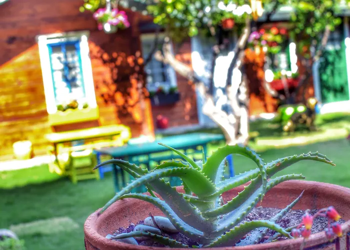 מלון Pirlanta Butik 3*